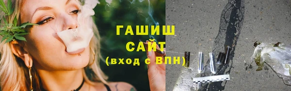 прущие грибы Тында