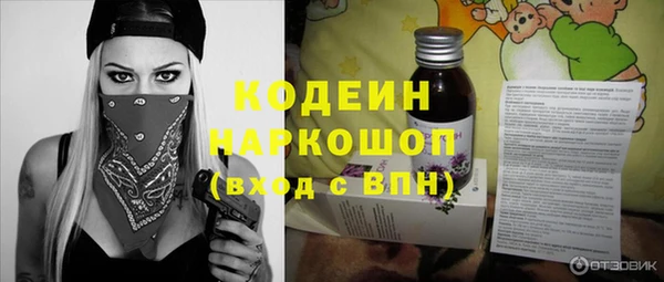 прущие грибы Тында