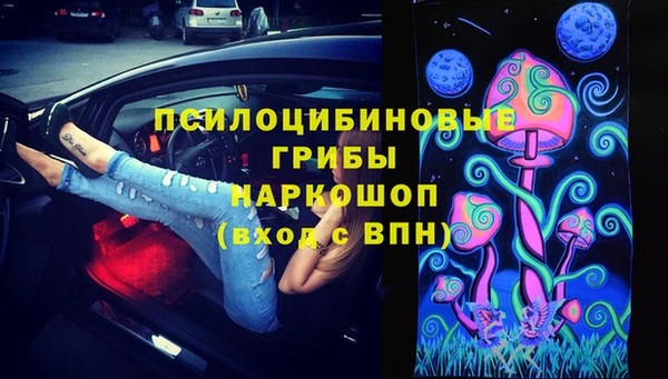 молекула духа Кинешма