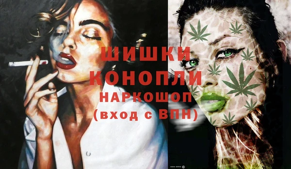 прущие грибы Тында