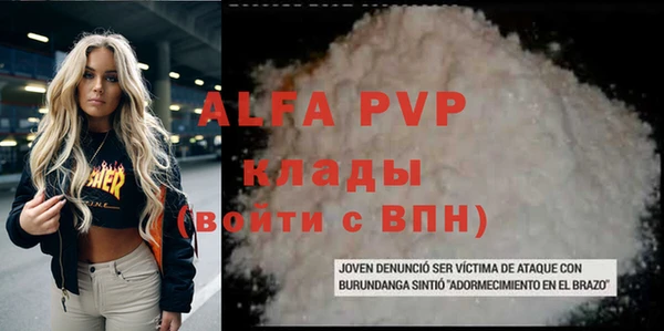 прущие грибы Тында