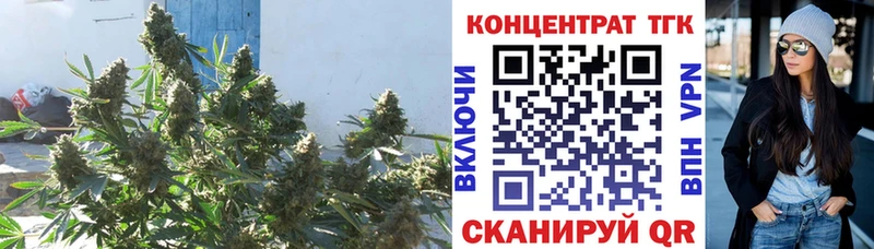 ТГК концентрат  Купить закладки  Берёзовский 