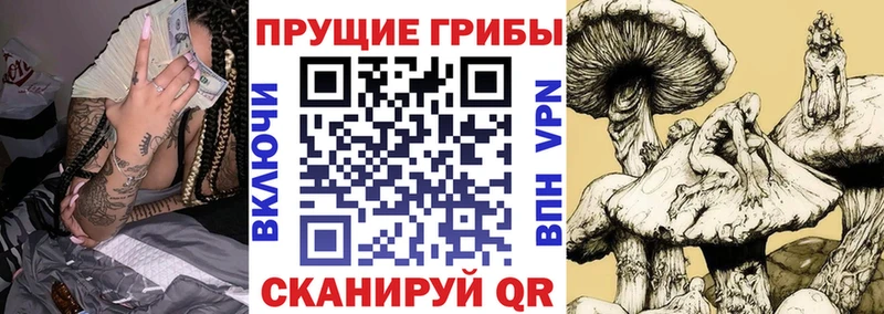 Галлюциногенные грибы Magic Shrooms  Купить где  Берёзовский 